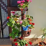 Casa Ghemus Casa de hóspedes