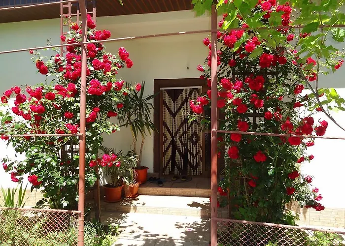 Casa Ghemus Костинешти