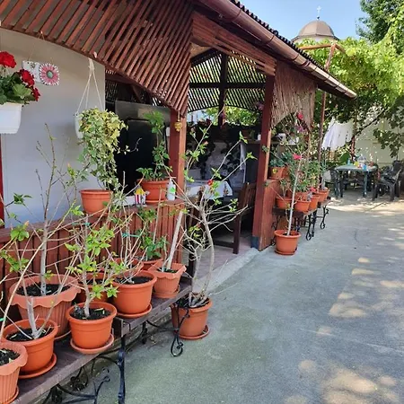 Casa Ghemus *