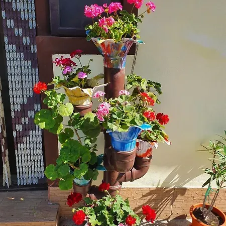 Casa Ghemus 게스트하우스