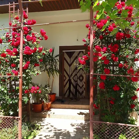 Casa Ghemus Costinești