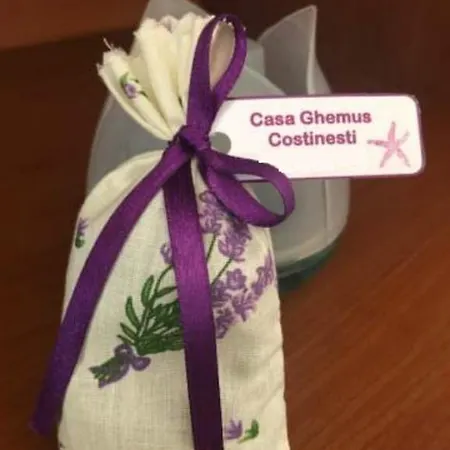 게스트하우스 Casa Ghemus 3*