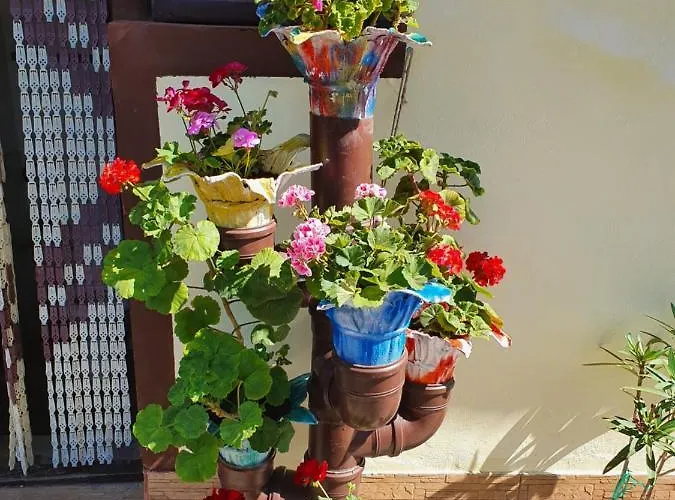 Casa Ghemus Pensión