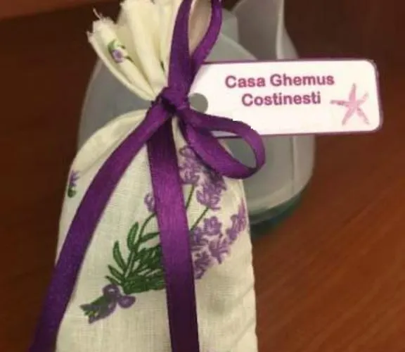 Pensión Casa Ghemus 3*